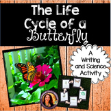 Life Cycle of a Butterfly