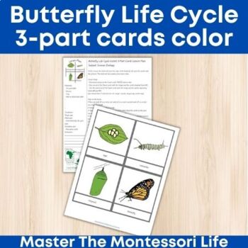 Butterfly Life Cycle 3-Part Cards + Lesson Plan (color) | TpT