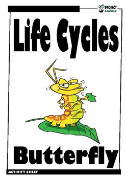 Preview of Butterfly Life Cycle