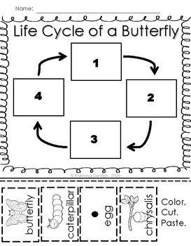 Butterfly Life Cycle by Planning Garden | Teachers Pay Teachers