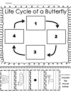 Butterfly Life Cycle by Planning Garden | Teachers Pay Teachers