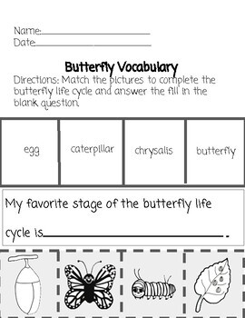 Butterfly Life Cycle by Live Learning Love Learning | TpT