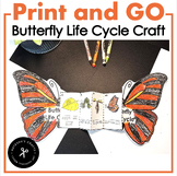 Butterfly Life Cycle Accordion Craft