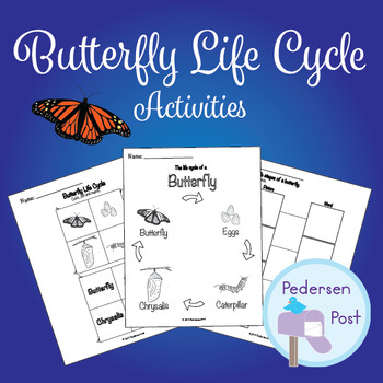Butterfly Life Cycle Activities by Pedersen Post | TPT