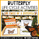 Life Cycle of a Butterfly Activities, Craft Wheel, Workshe
