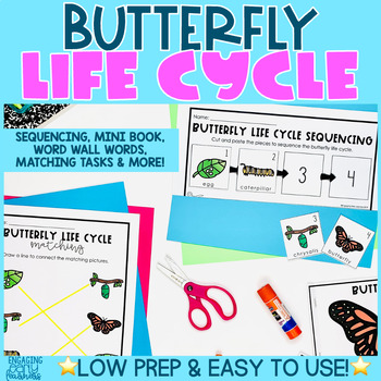 Butterfly Life Cycle Activities and Word Wall for PreK and Kindergarten