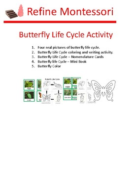 Preview of Butterfly Life Cycle Activity