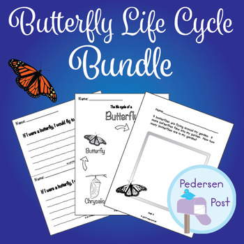 Preview of Butterfly Life Cycle Activity Bundle