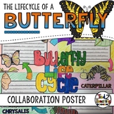 Butterfly Life Cycle Activity: Collaborative Research Poster