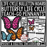 Butterfly Life Cycle Activity Science Bulletin Board Bugs 