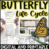 Butterfly Life Cycle + All About Butterflies Activities + 