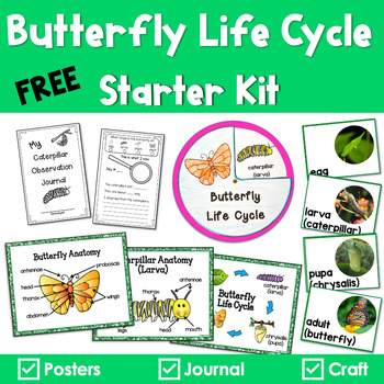 Preview of Butterfly Life Cycle Anchor Posters and Activities
