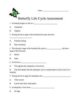Preview of Butterfly Life Cycle Assessment
