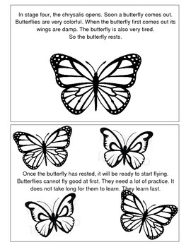 Butterfly Life Cycle Book by Angela Horne | Teachers Pay Teachers