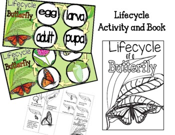 Preview of Butterfly Life Cycle Book and Activity
