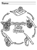 Butterfly Life Cycle Booklet