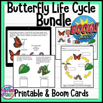Preview of Butterfly Life Cycle Bundle | Boom Cards and Printable | Hybrid Teaching