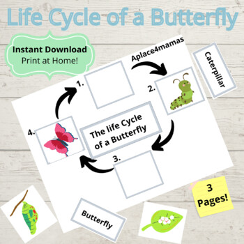 Butterfly Life Cycle, Butterfly Stages, Butterfly Busy Book by Aplace4mamas
