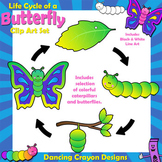 Butterfly Life Cycle Clip Art Sequence