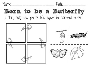 Preview of Butterfly Life Cycle Chart