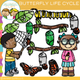Butterfly Life Cycle Spring and Summer Science and Sequenc
