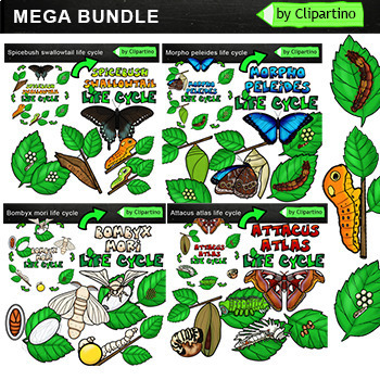 Preview of Butterfly Life Cycle Clip Art Bundle /Bugs & Insects Clip Art commercial use