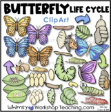 Butterfly Life Cycle Clip Art Whimsy Workshop Teaching