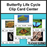 Butterfly Life Cycle Clip Card Center Kindergarten