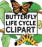 Butterfly Life Cycle Clipart