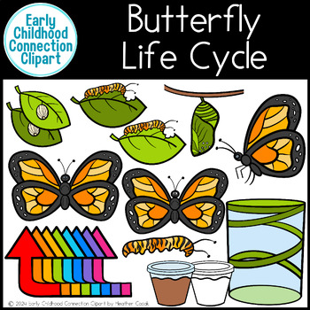 Preview of Butterfly Life Cycle Clipart {Early Childhood Connection}