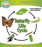 Butterfly Life Cycle Clipart {Zip-A-Dee-Doo-Dah Designs}