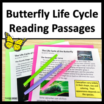 Preview of Summer Reading Passages Life Cycle of a Butterfly Activities Informational Text