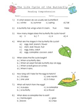 Butterfly Life Cycle Comprehension quiz by Sky Blue Teaching | TpT