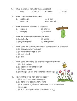 Butterfly Life Cycle Comprehension quiz by Sky Blue Teaching | TpT