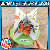 Butterfly Life Cycle Craft | 3D Diorama Craft Activity