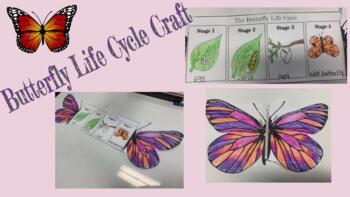 Preview of Butterfly Life Cycle Craft