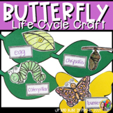 Butterfly Life Cycle Craft Spring Bulletin Board and Craftivity
