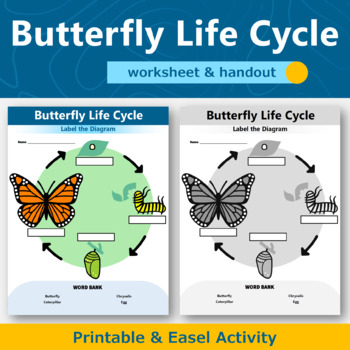 Preview of Butterfly Life Cycle Diagram Worksheet and Handout 