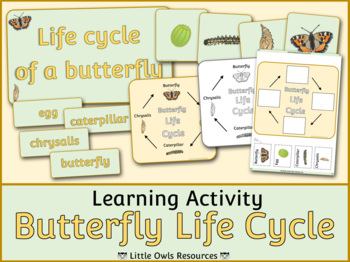 Butterfly Life Cycle Display Visuals & Activity Pack by Little Owls ...