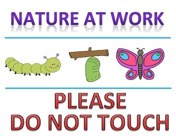 Preview of Butterfly Life Cycle "Do Not Touch" Sign