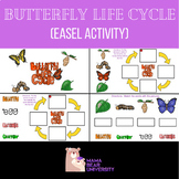 Butterfly Life Cycle (Easel Activity)