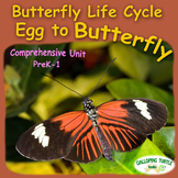 Butterfly Life Cycle - Egg to Butterfly