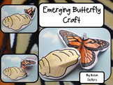 Butterfly Life Cycle {Emerging Butterfly Craft and Life Cy