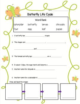 Preview of Butterfly Life Cycle Fact Sheet Printable/Test