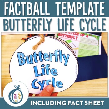 Preview of Butterfly Life Cycle Factball and Fact Sheet