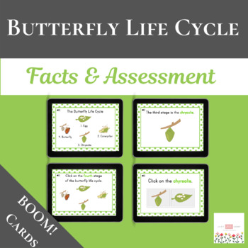 Preview of Butterfly Life Cycle: Facts & Assessment with Boom Cards™ | Digital 
