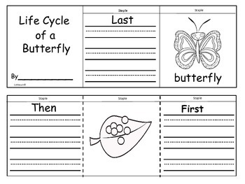 Butterfly Life Cycle Flip Flap Books by 123kteach | TpT