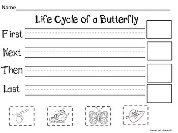 Butterfly Life Cycle Flip Flap Books by 123kteach | TPT