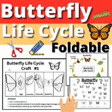 Butterfly Life Cycle Foldable Activity Craft Cut and Paste