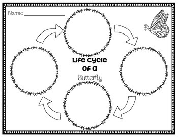 Life Cycle of a Butterfly - Jump! Inc.